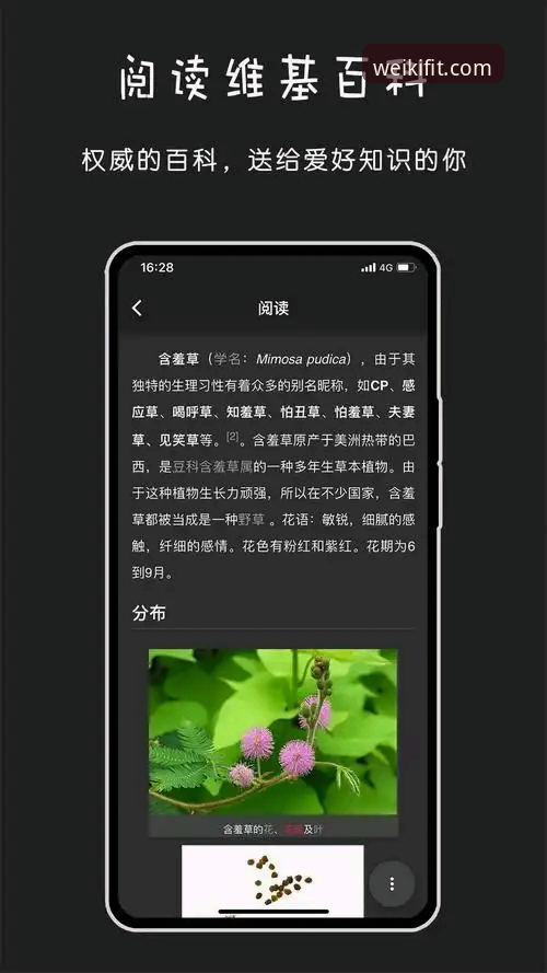 维基体育平台最新版本下载深度评测：安卓版App功能与稳定性全面分析