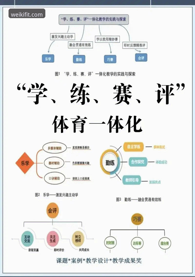 从入门到精通：新手用户分享维基体育平台使用心得与实战经验